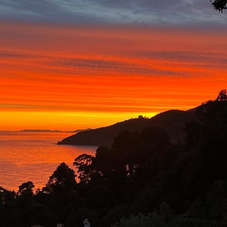 Magnifique Villa Neuve Vue Mer Cavalaire-sur-Mer Exteriör bild