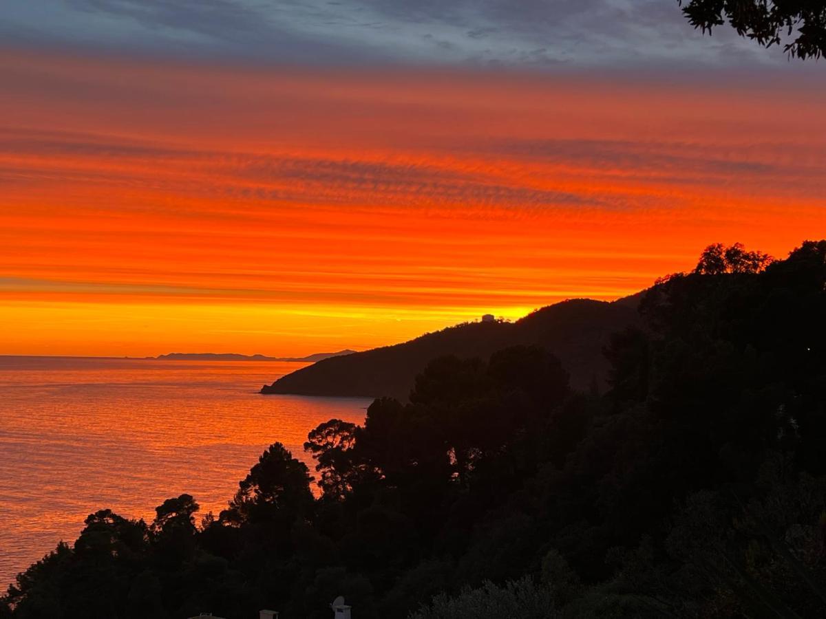 Magnifique Villa Neuve Vue Mer Cavalaire-sur-Mer Exteriör bild